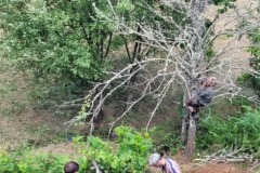 Land Management