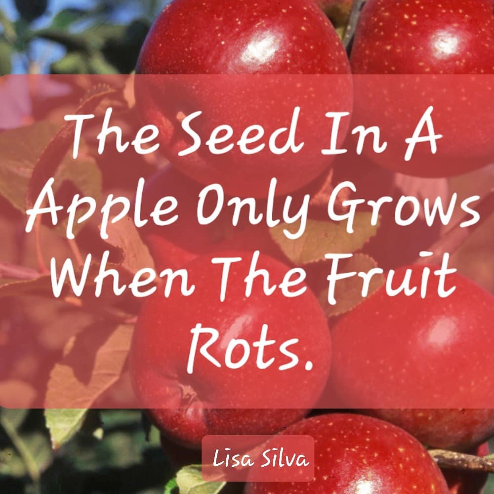 Spiritual Teaching by lisa silva